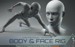 Blender插件-角色身体面部一键绑定 Universal Human Body和Face Rig v2.1.1