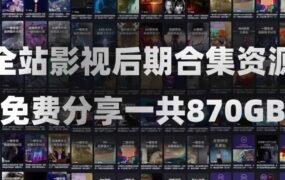 AE/PR精品影视后期资源合集！包含音效、软件、教程、转场、调色、动画、视频素材、插件脚本等等一共870GB！