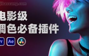 AE/PR/PS/达芬奇必备蜘蛛网（色彩扭曲器）调色插件套装 False Color 3.80/Nobe Color Remap 1.83/Nobe Display 1.5.3 支持系统WIN