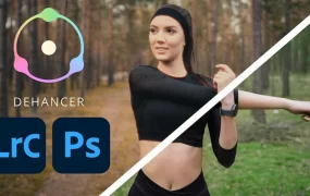 PS/LR插件-电影级胶片质感调色插件 Dehancer Film 2.3.0 for Photoshop & Lightroom Win