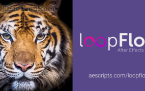 中文汉化AE插件-loopFlow v1.2动感影像人物风景图片转三维局部循环流动循环动画效果特效Win/Mac+使用教程